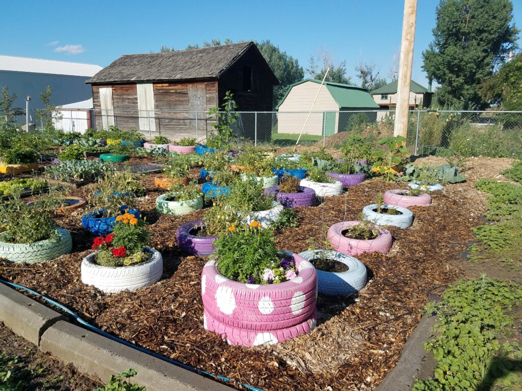 Growing for the Food Pantry